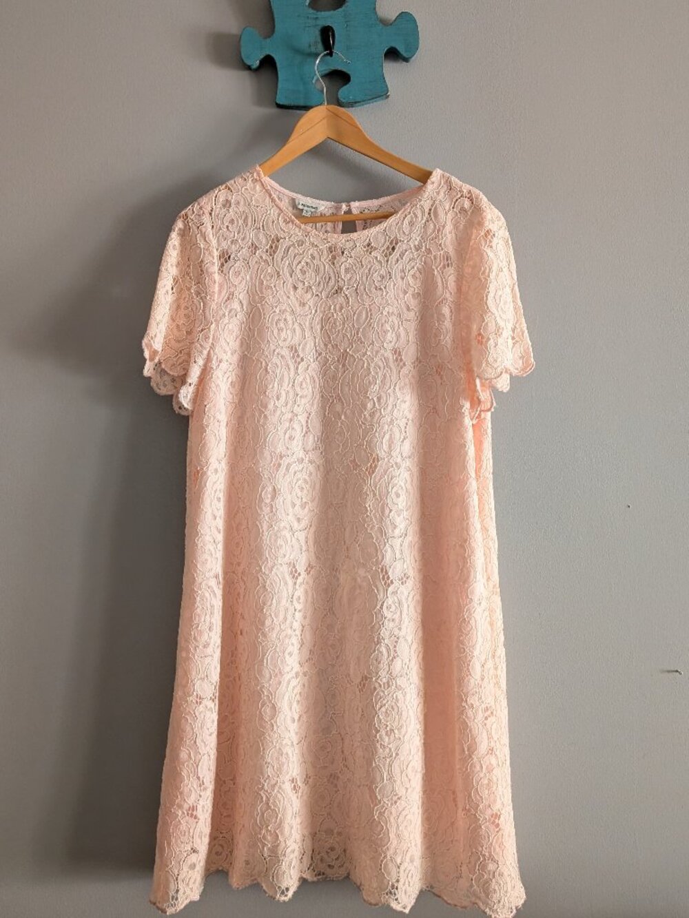 J Peterman Vintage Styled Pink Lace Lined Dress Size Medium